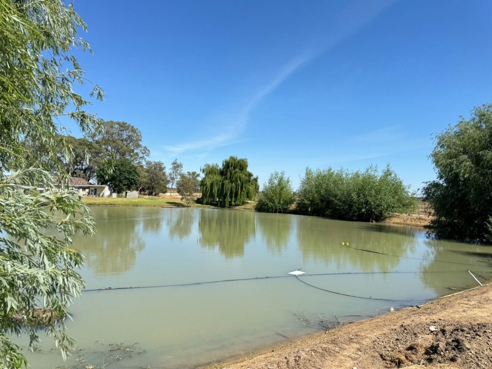 Introducing Nantra™ C - on farm water treatment Introducing Nantra™ C - on farm water treatment